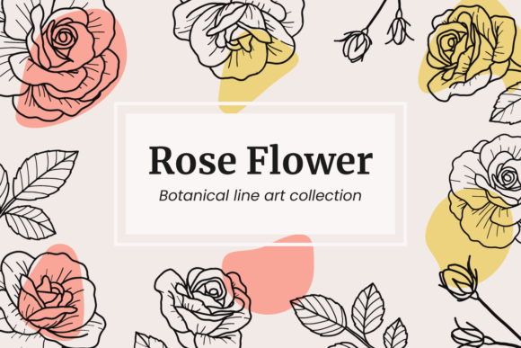 Beautiful Rose Fllower Lineart Floral